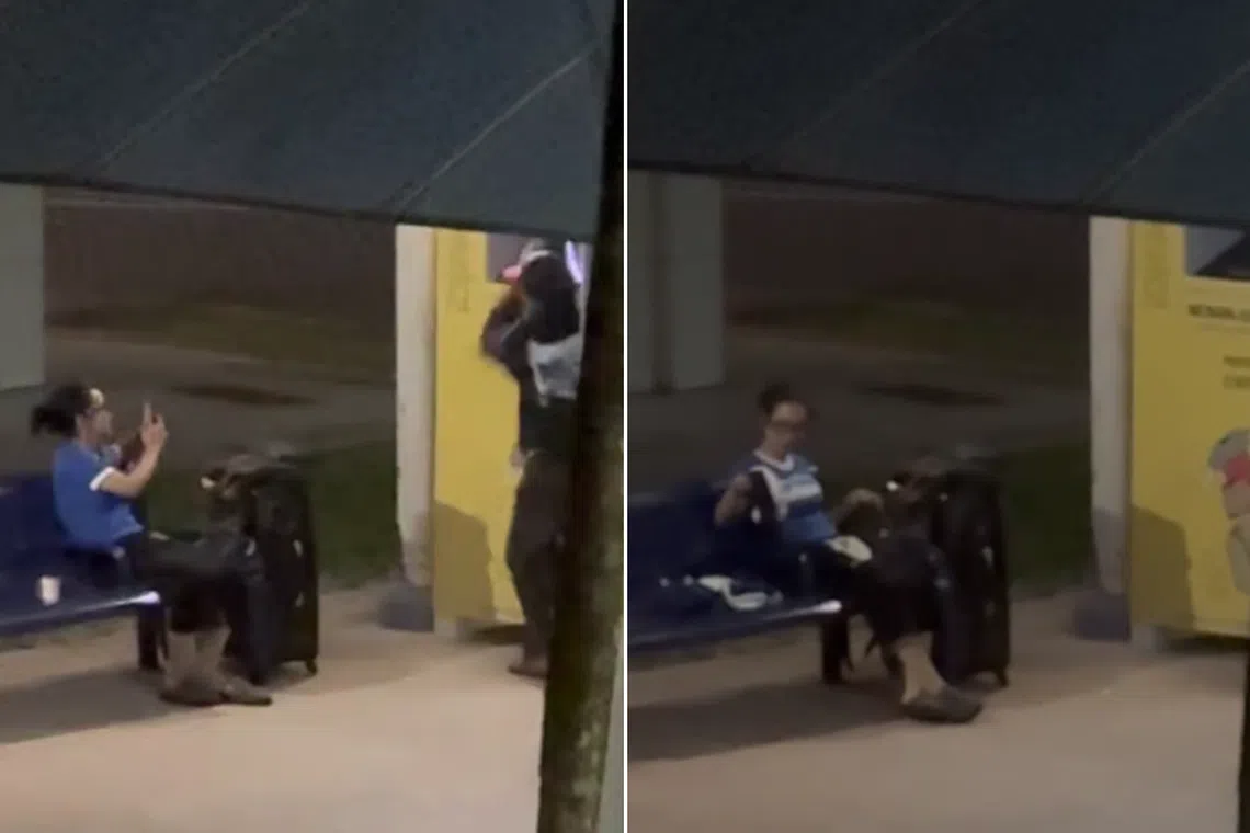 A couple was spotted stealing clothes from a textile donation bin in Sengkang, in the wee hours of Feb 16.
