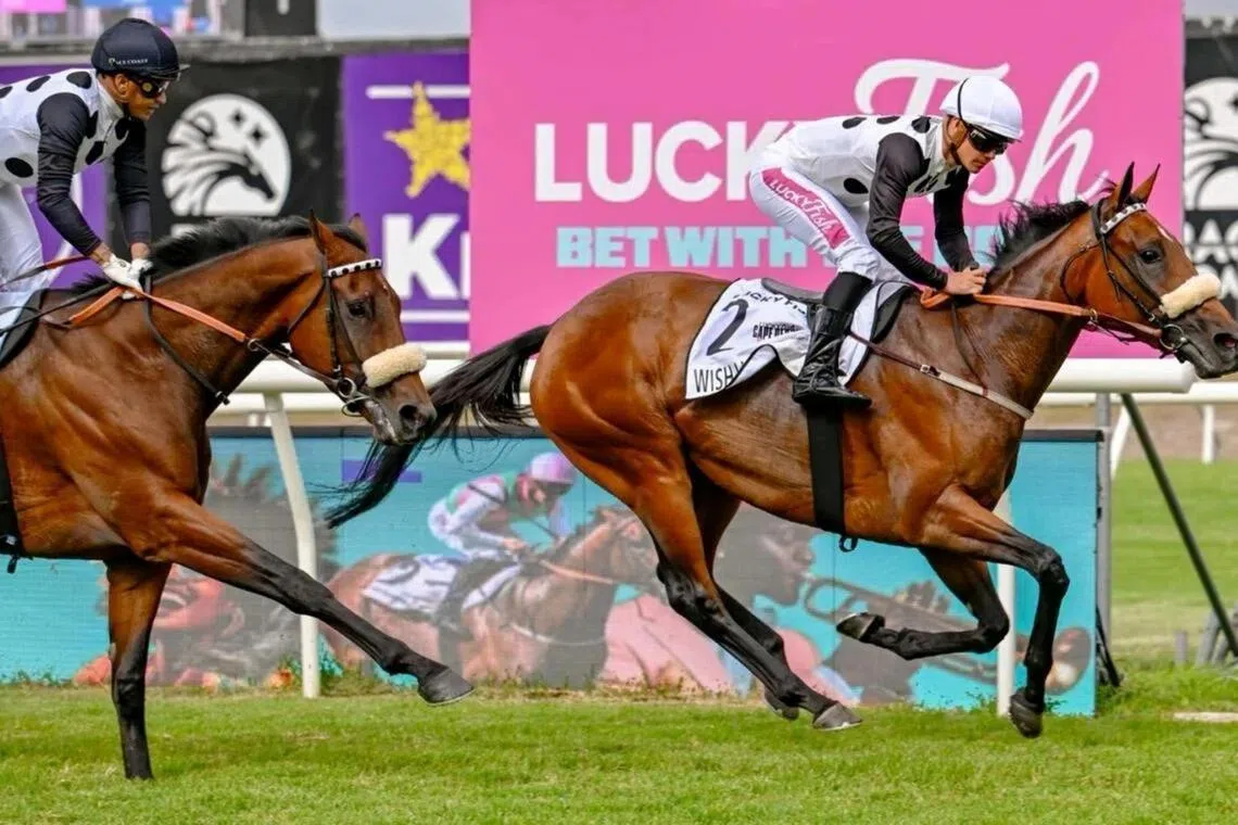 Wish List (Richard Fourie) claiming the Grade 1 Cape Derby (2,000m) at Kenilworth on Feb 28. The Justin Snaith-trained galloper contests the Grade 1 Durban July (2,200m) at Greyville on July 4.

PHOTO: RACE COAST/CHASE LIEBENBERG