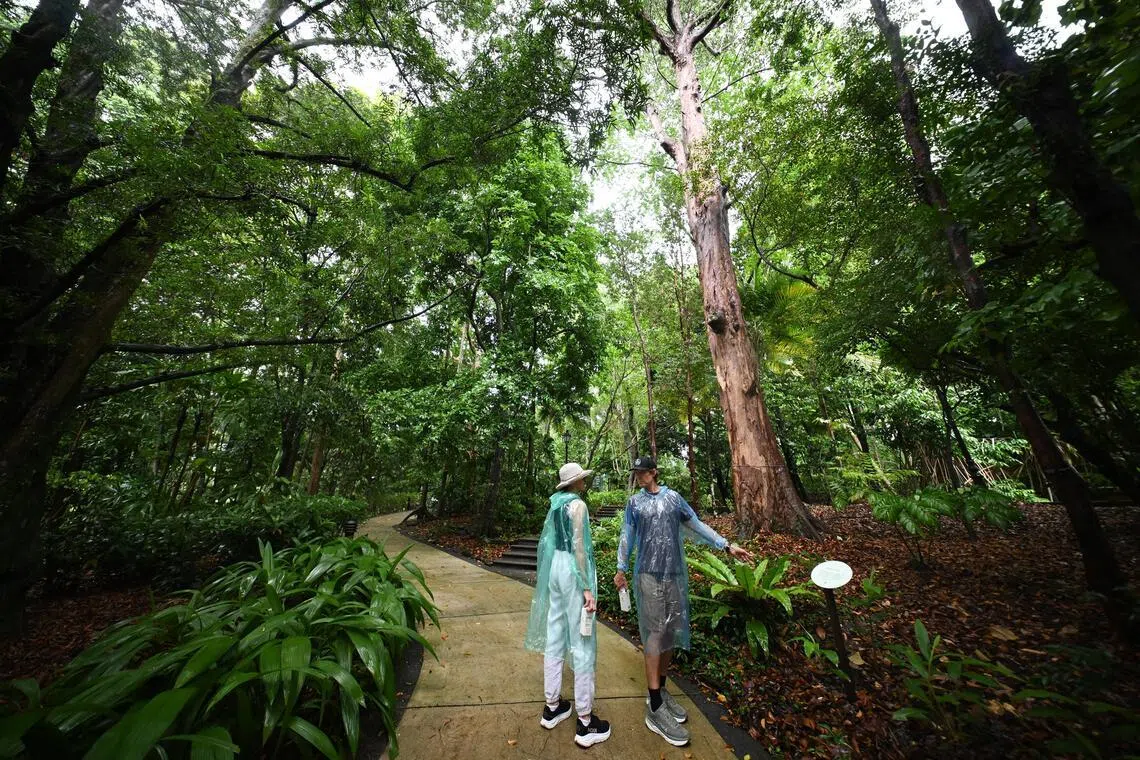 Visitors standing next to a “Choose a Tree” prompt on the Nature Immersion Trail at Saraca Stream on June 11.