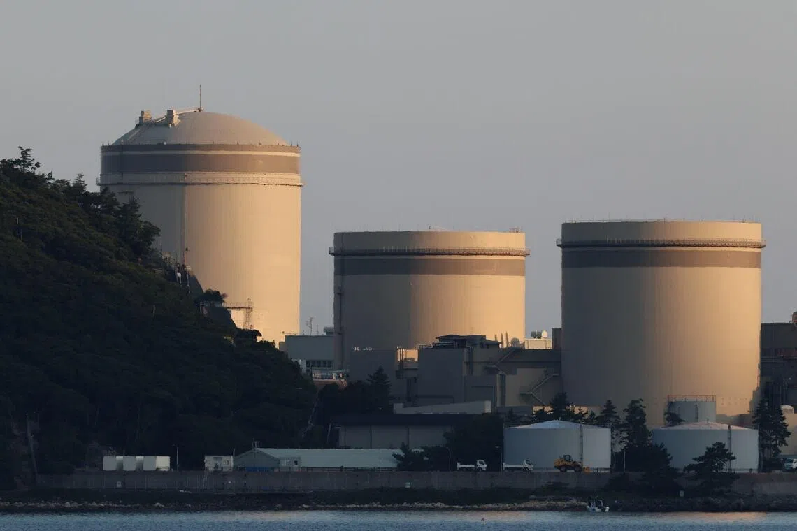 Ecosystem of Japan’s Minamitori Island at risk from nuclear waste site survey: Lab