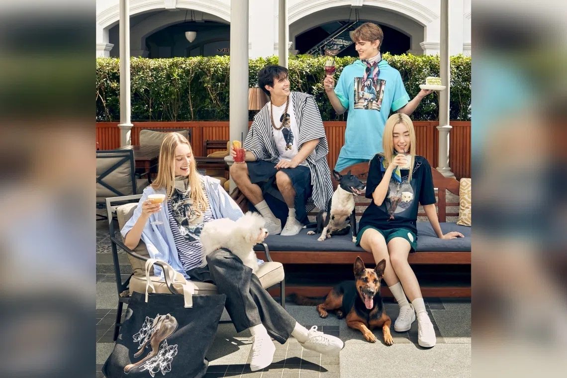 Raffles Hotel Singapore's new bi-monthly series Courtyard Paw Party invites guests to enjoy a relaxed Sunday afternoon with their pets.