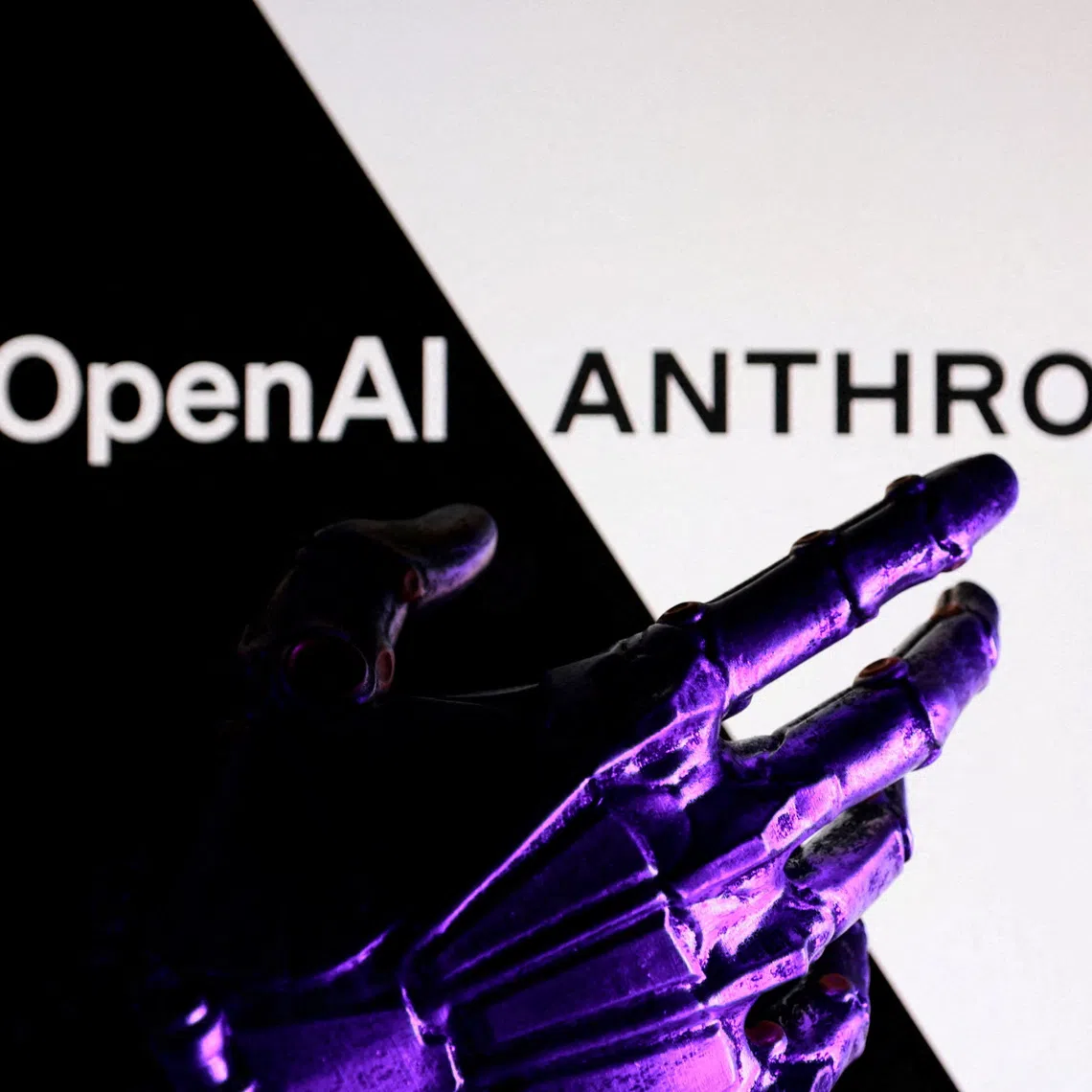 FILE PHOTO: OpenAI and Anthropic logos are seen in this illustration taken June 11, 2026. REUTERS/Dado Ruvic/Illustration/File Photo