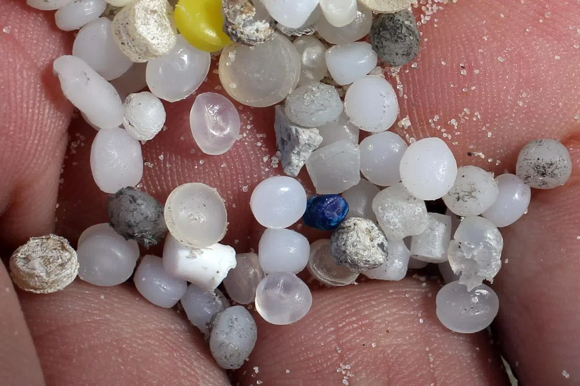 Nurdles are very small pellets of plastic which serve as raw material in the manufacture of plastic products.