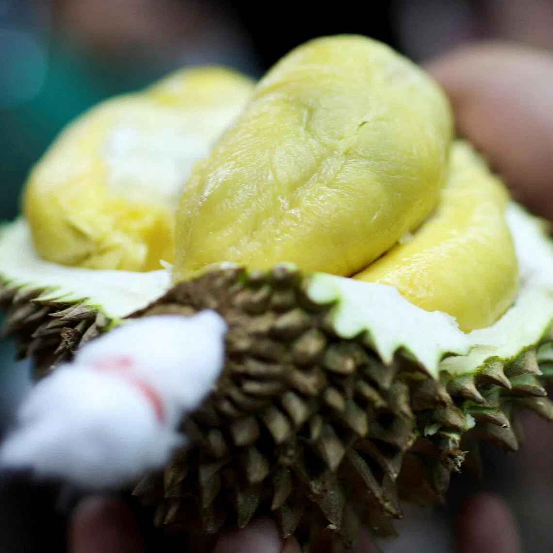 A durian seller shows the fruit sold at Jalan Alor Night Market in Kuala Lumpur, Malaysia, on March 17. 