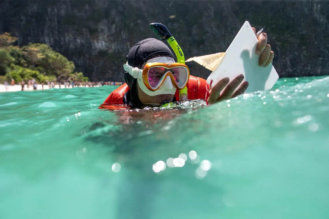 Sommawan Kasa, 29, a divemaster with the Maya Shark Watch Project, takes notes on a waterproof filming board as the group installs its baited remote underwater video station, in Maya Bay on Feb 24, 2023. 