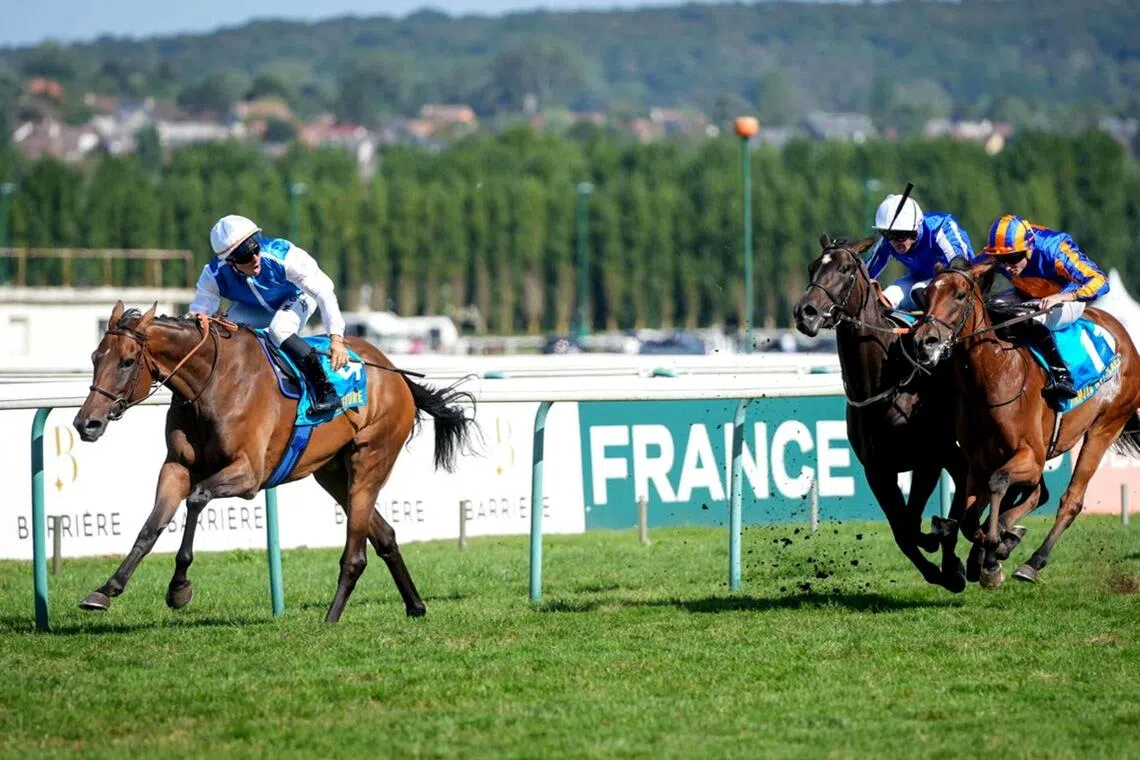 Aventure - Aventure (Maxime Guyon) scoring a soft win in the Group 1 Prix Jean et Louis Romanet (2,400m) in Deauville on Aug 23. Odds-on favourite Diamond Necklace (Ryan Moore, blue and orange cap) tastes defeat for the first time at her seventh start, by finishing second two lengths astern.

PHOTO: SCOOPDYGA
