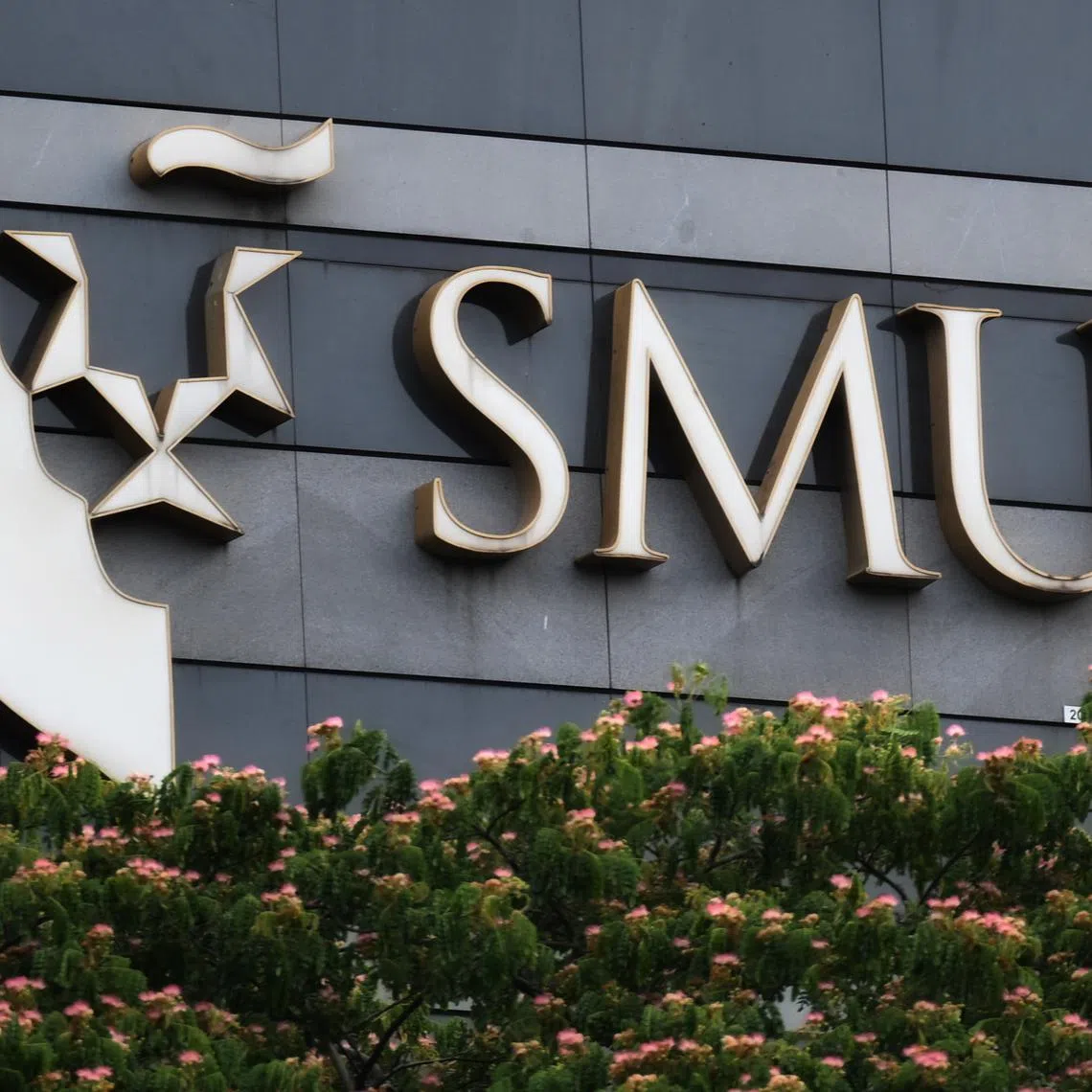 SMU graduates were sought after in finance, legal, accounting, and information and communication, reflecting sustained employer demand across key industries.
