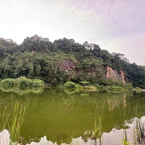 image-alt
