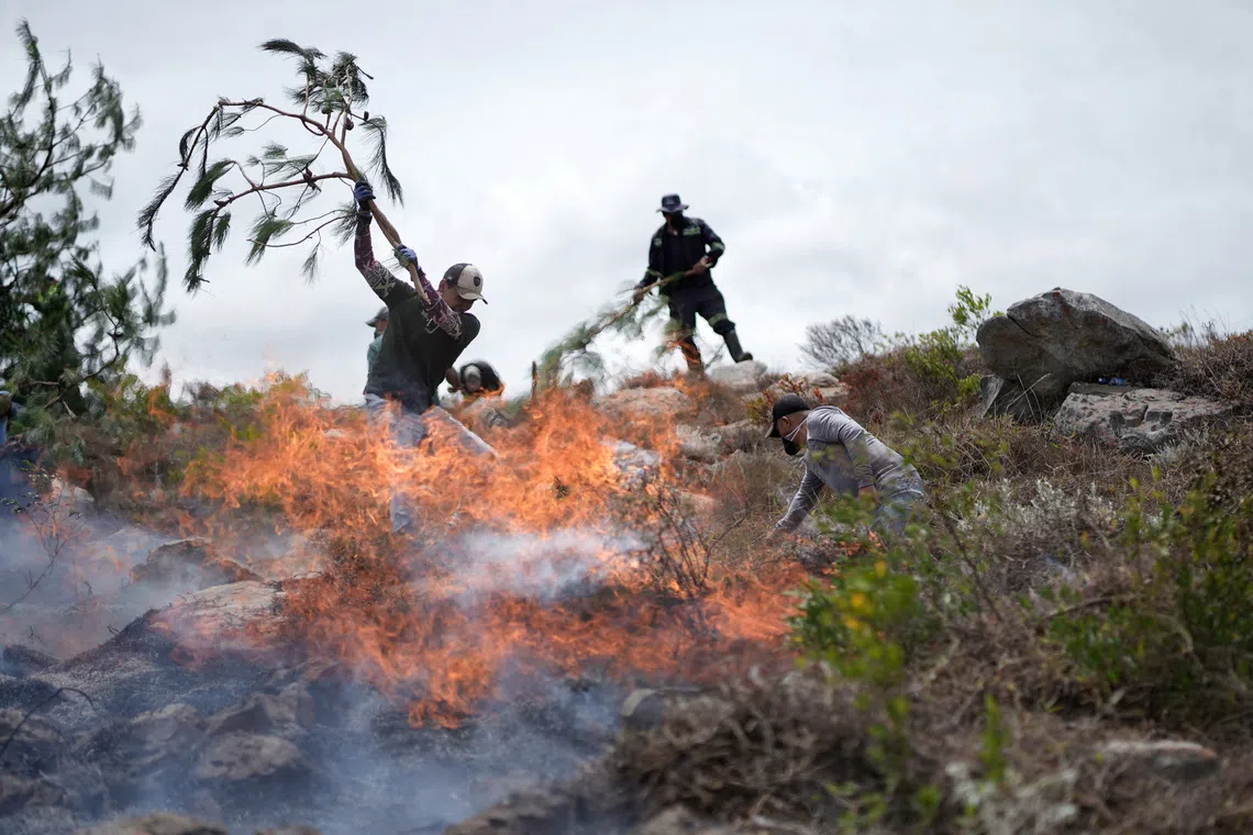 People use tree branches to beat back flames as they fight a wildfire in Villa de Leyva, Colombia, September 21, 2026. REUTERS/Sergio Acero TPX IMAGES OF THE DAY