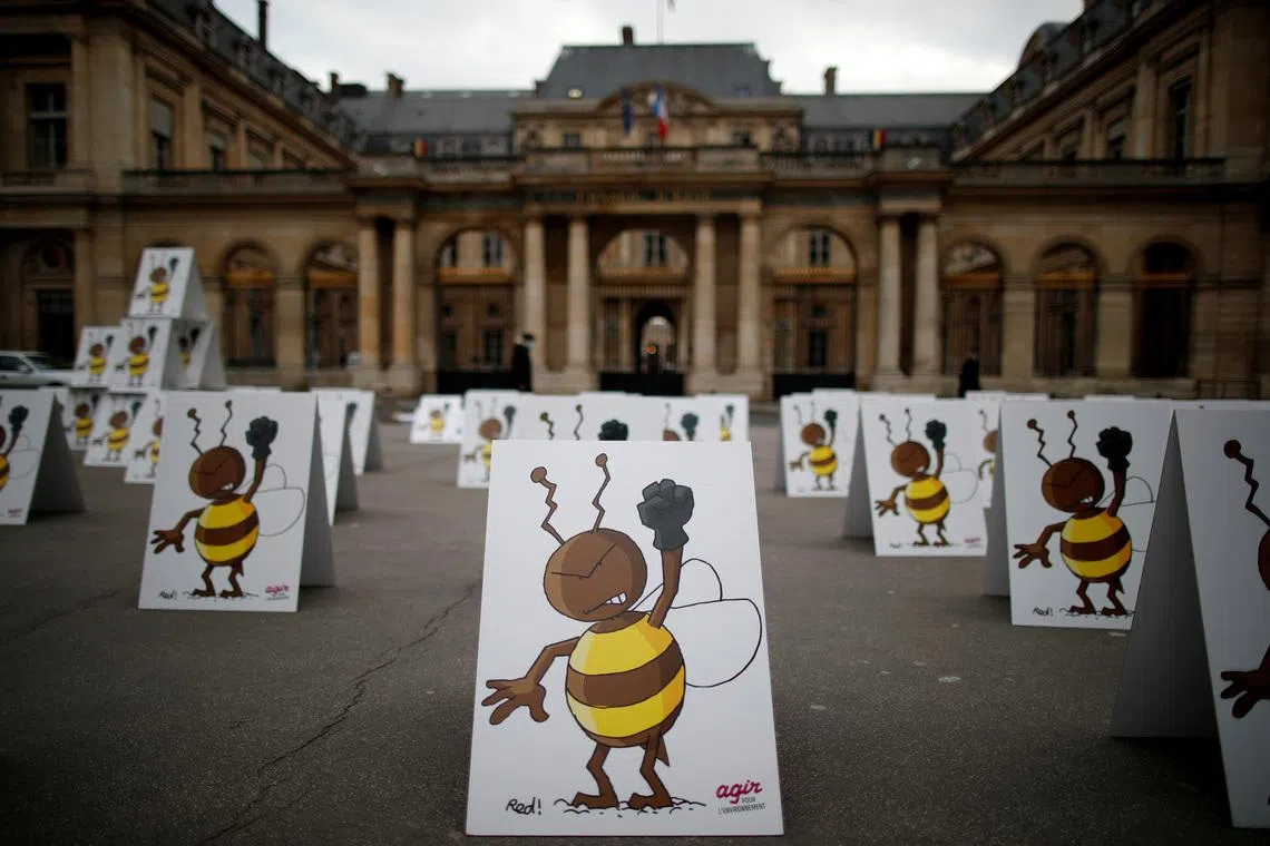 Environmental activists protest near the Conseil d'Etat as it will rule on a request by campaigners for the suspension of a government decision to ease a ban on bee-killing neonicotonoid pesticides in Paris, France, March 9, 2021. REUTERS/Gonzalo Fuentes/File Photo