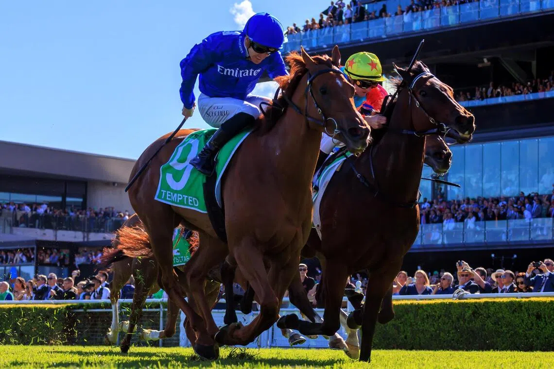 Tempted - Tempted (Chad Schofield, left) lowering the colours of raging favourite Ka Ying Rising (Zac Purton) in the Group 1 The Everest (1,200m) at Randwick on Oct 17.

PHOTO: HKJC