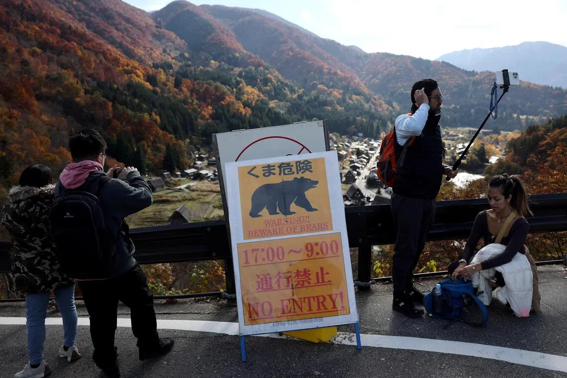 Bear activity in Japan up despite hibernation season; outdoor events called off as precaution