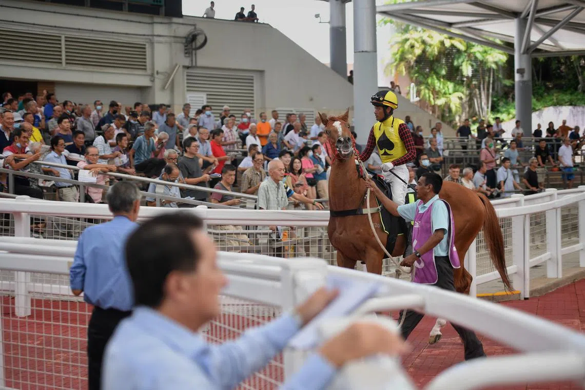 While the club’s 350 employees will be given retrenchment packages, it was unclear what would happen to the 22 trainers’ ground staff.