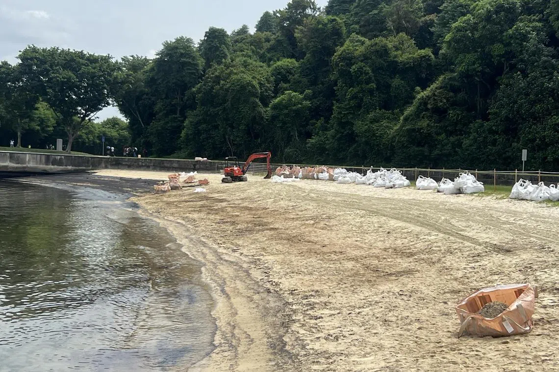 auoil16 - A beach clean-up underway at a beach on Lazarus Island.