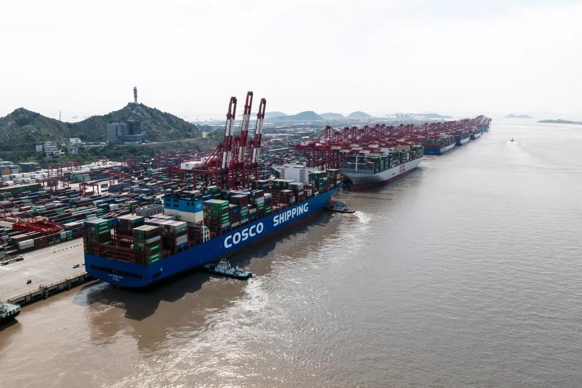 Container ship bookings for China-to-US cargo have surged since the countries declared a 90-day truce on punitive tit-for-tat tariffs last weekend.