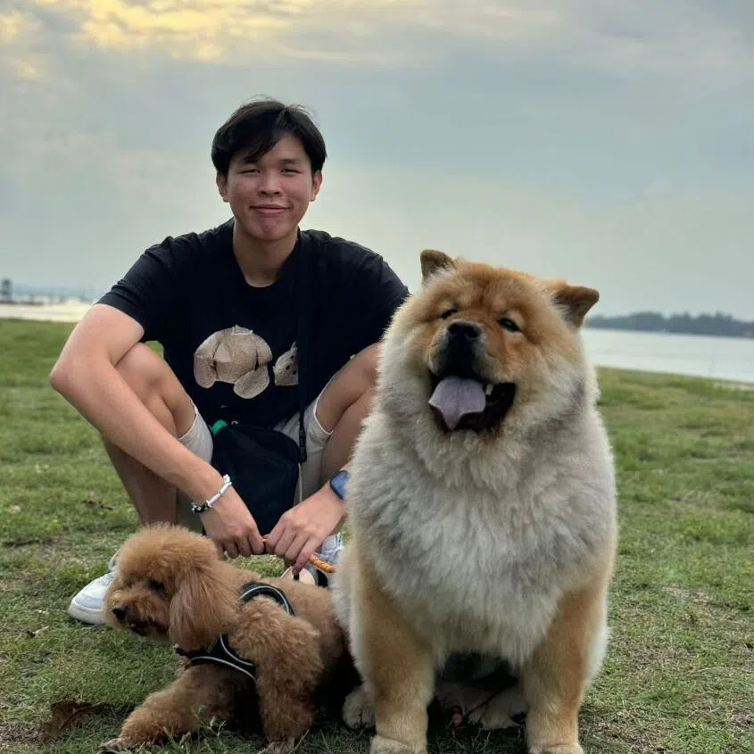 Mr Teh's family has owned Kiko for five years since he was a three-month-old puppy.