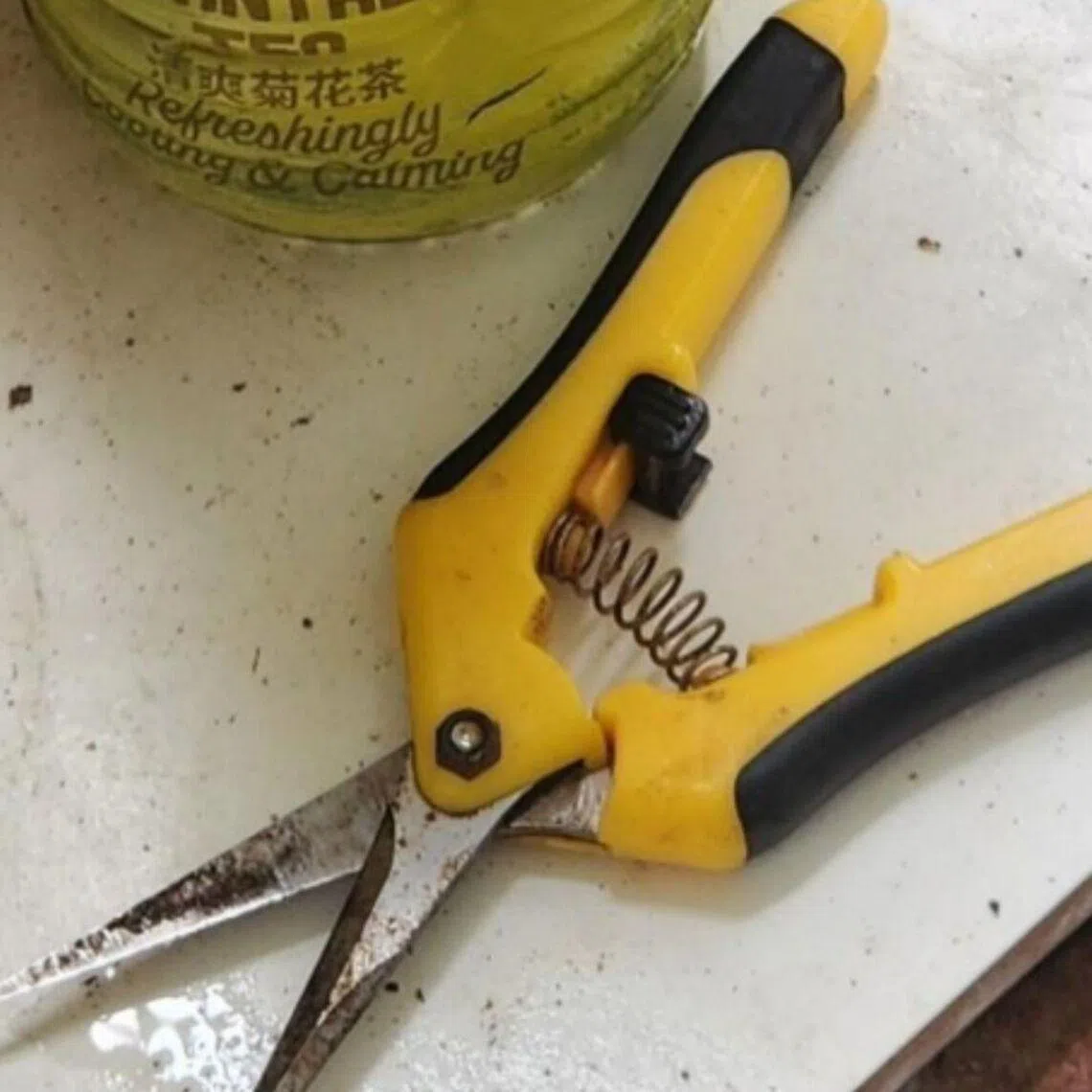 The suspect allegedly used a plier while he committed the crime.