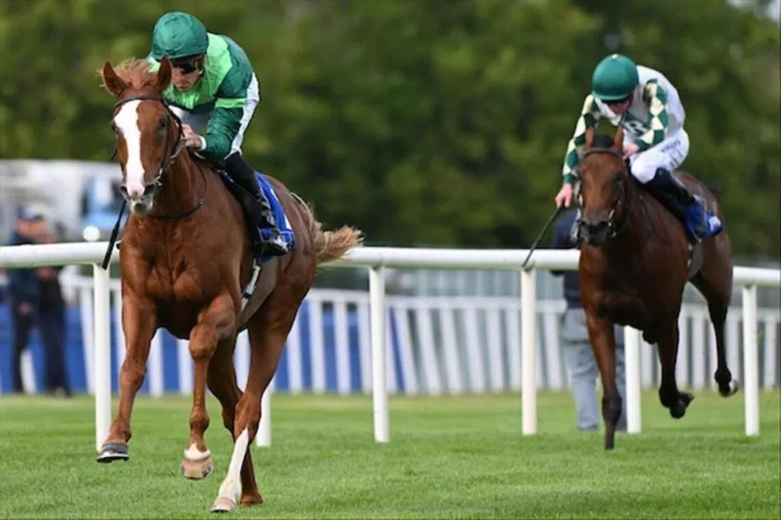 Benvenuto Cellini (Christophe Soumillon) scoring an easy win in the Group 2 Champions Juvenile Stakes (1,600m) at Leopardstown on Sept 13, 2025. He is the current favourite for the Group 1 Epsom Derby (2,400m) on June 6.

