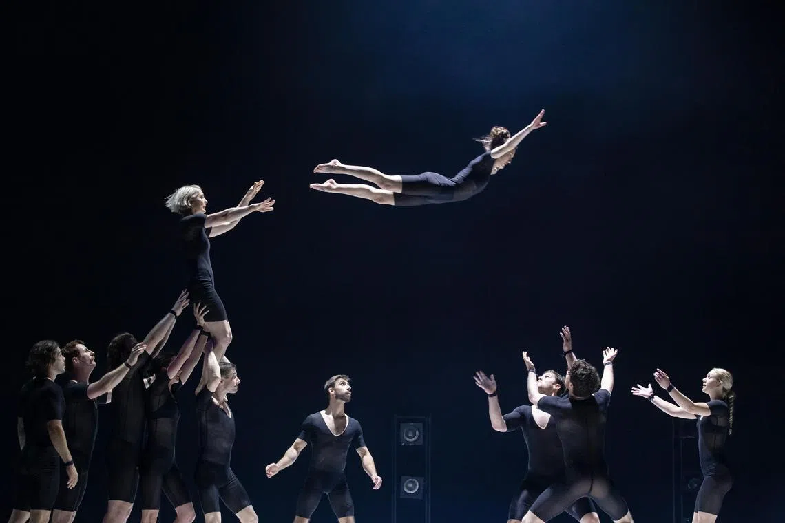 Acrobats execute train for years to pull off dangerous stunts as seen in HUMANS 2.0.
