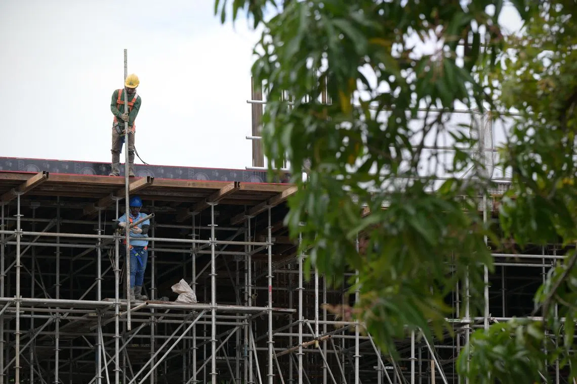pixgeneric/ST20241219_202473600861/Ng Sor Luan/Workers at a construction site at Senoko Way. For stories on workplace safety, working from heights, migrant workers, construction workers and more. 