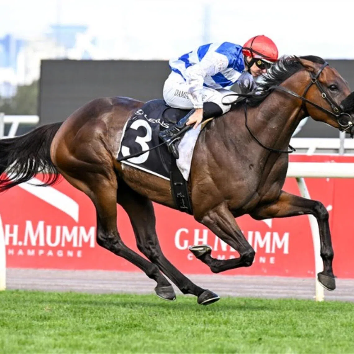 Whisky On The Hill - Whisky On The Hill


PHOTO: HKJC