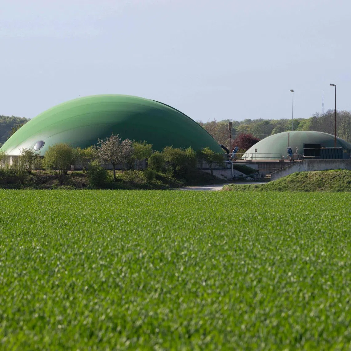Wittenberg, better known to many as a cradle of the Protestant Reformation, is also home to a chemical plant founded in 1915, in the midst of World War I.