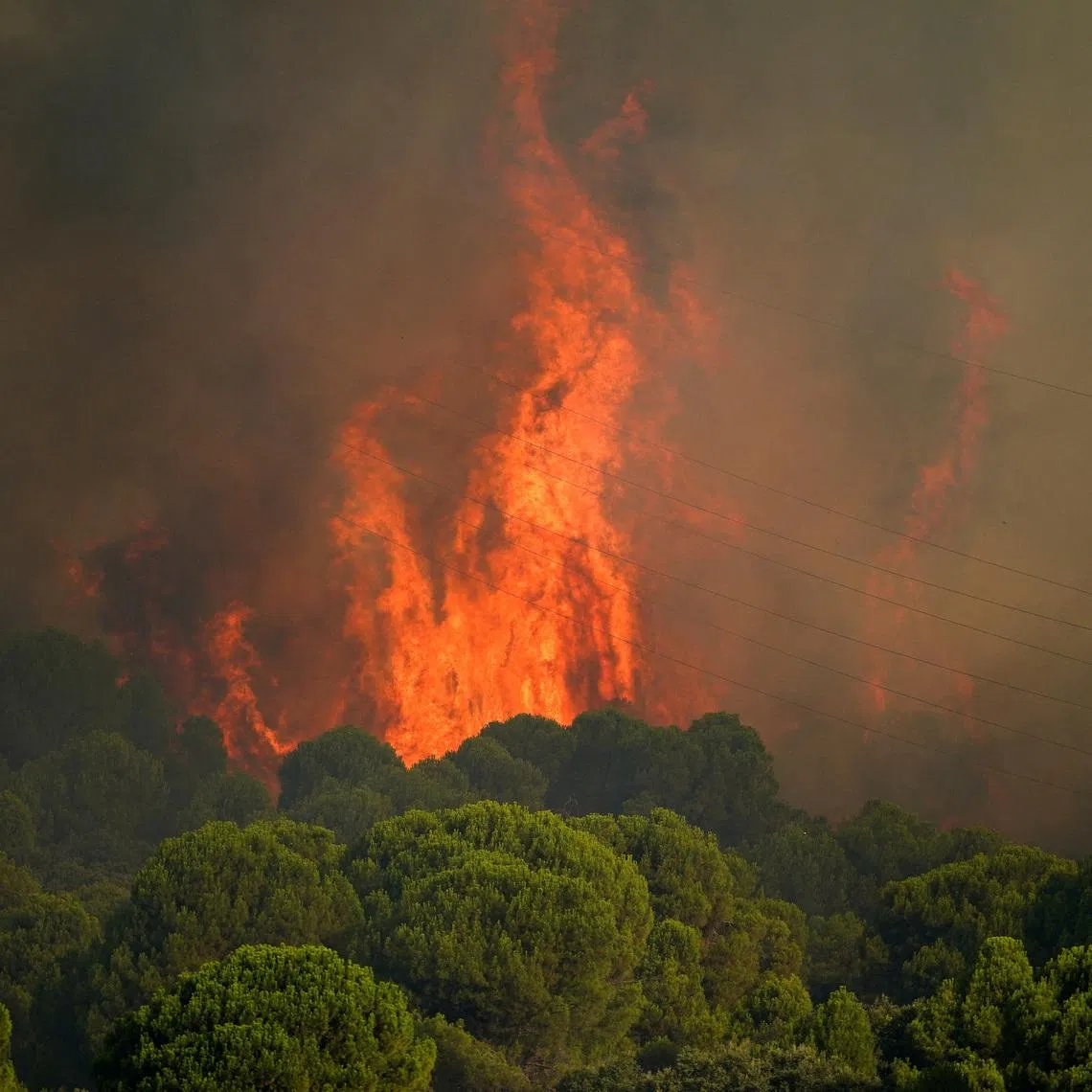 Flames emerge from a wildfire in San Martin de Valdeiglesias, Avila, Spain July 26, 2026. REUTERS/Ana Beltran