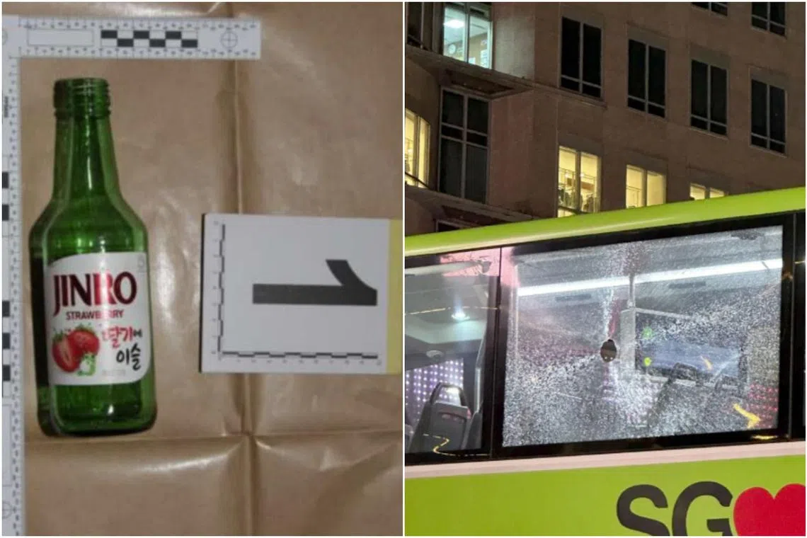 The man had allegedly thrown a glass bottle onto the window of a bus from a pedestrian walkway.
