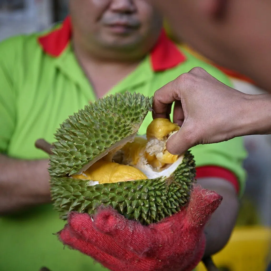 Durian sellers in Singapore do not expect their prices to drop as sharply as in Malaysia.