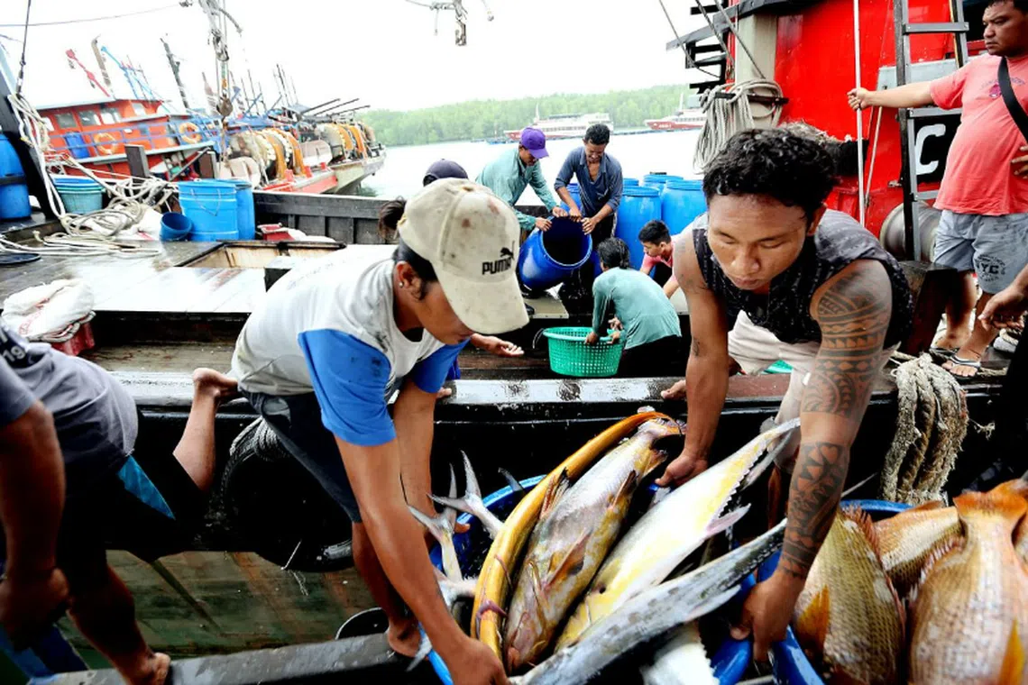 Workers unloading fish after returning from the sea. 