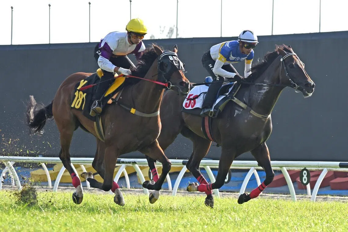 bmtrials09 - Banker's Victory


PHOTO: SELANGOR TURF CLUB