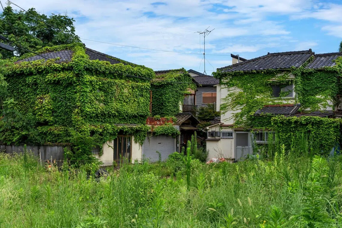 Overgrown foliage engulfs vacant Japanese homes in north Tokyo’s Komagome neighbourhood, a stark symbol of akiya.