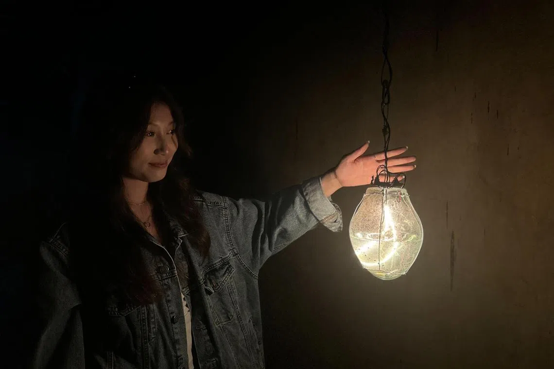 Arts Picks: Portals at Battlebox, Lincoln Townley solo, SAM access showcase 