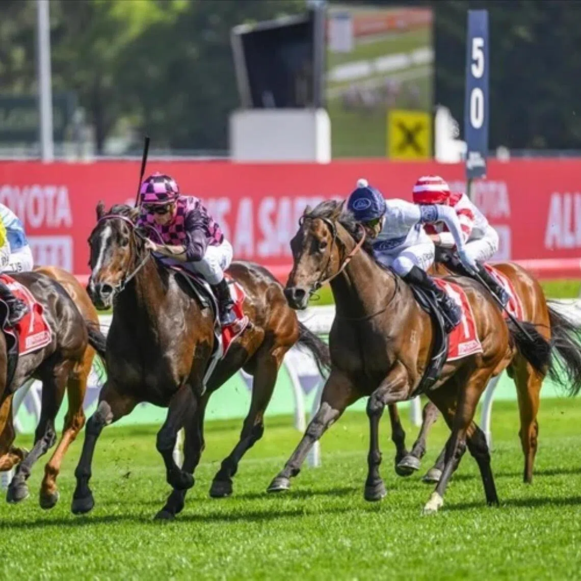Rothfire, seen here claiming the Group 3 Sydney Stakes (1,200m) at Randwick on Oct 18, 2025, has added another feature race to his haul in the Group 1 Doomben 10,000 (1,200m) on May 16. It was his second Group 1 gong after capturing the JJ Atkins (1,400m) at Eagle Farm in 2020.