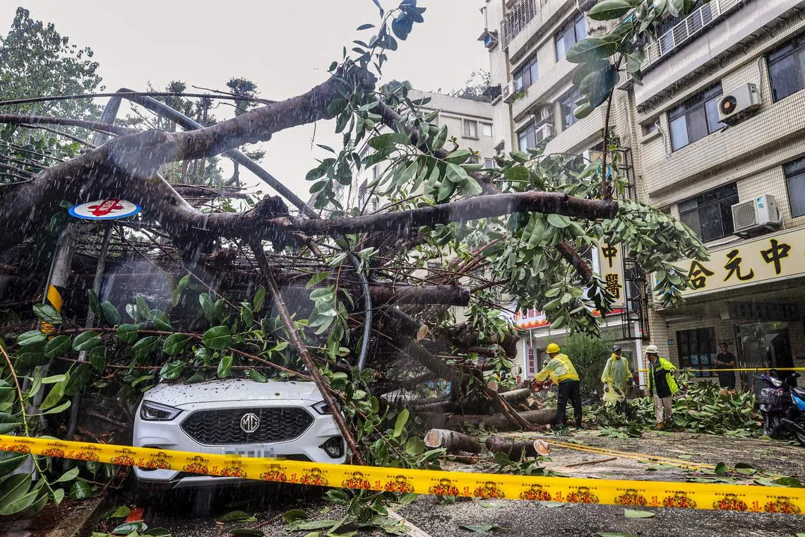 A car trapped under an uprooted tree at New Taipei City, as Super Typhoon Kong-rey neared the coast in Taitung, Taiwan, on Oct 31, 2024.
