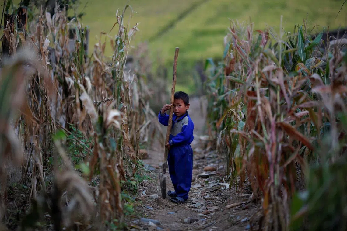 A recent UN report estimates that 60 per cent of the population in North Korea suffered from food insecurity by the end of 2021.