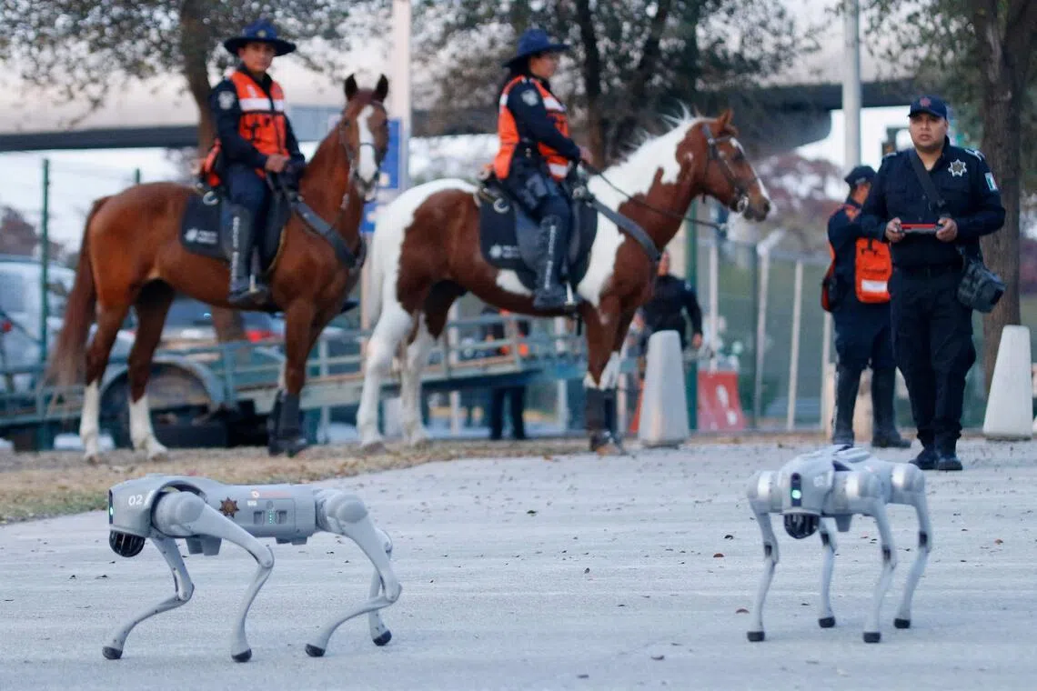 Two K9-X robot dogs walk during a presentation by Mexican police at the BBVA Stadium in Monterrey, Mexico, on Feb 11, 2026. The four-legged robots are designed to enter dangerous areas and broadcast live video back to security forces. The World Cup, which will take place from June 11 to July 19, is being hosted by Mexico alongside the United States and Canada. (Photo by Julio Cesar AGUILAR / AFP)