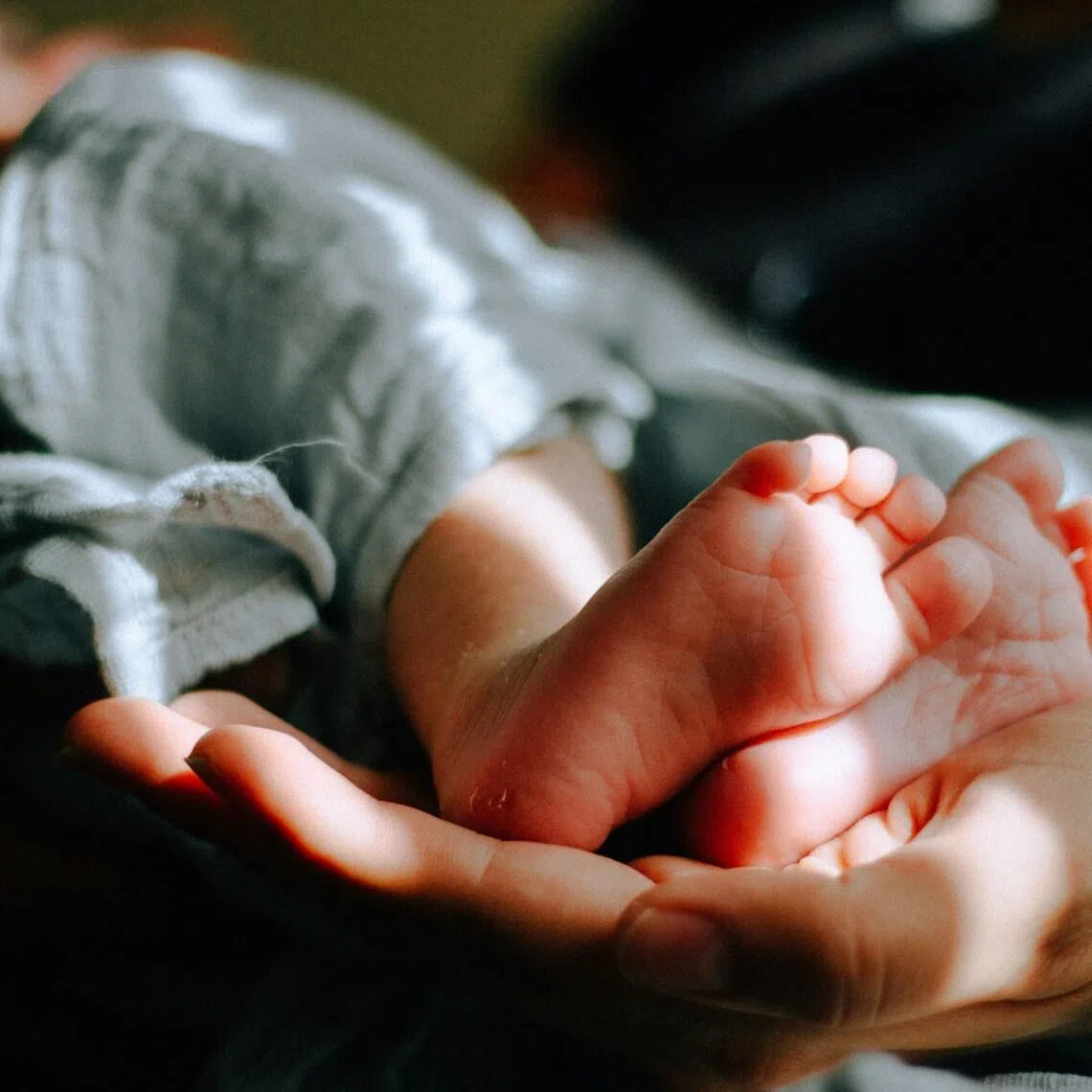 In the lawsuit, the eight, who were all adopted when they were very young, claim Danish authorities should have known their adoptions were illegal and therefore did not fulfil their responsibility to protect them.
