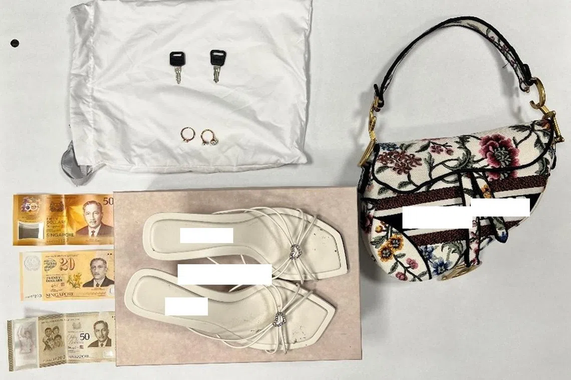 Items such as jewellery, foreign currencies and collectible Singapore dollar notes were stolen from the home.