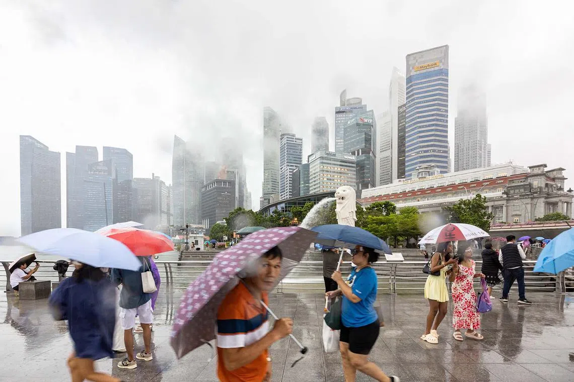 ST20241014_202469400931/pixflood14/Brian Teo/Visitors to the Merlion Park braving the rain at 11am on Oct 14 , 2024. The National Environment Agency said rain was expected over the southern, eastern and central areas from 8.40am to 10.15am. ST PHOTO: BRIAN TEO