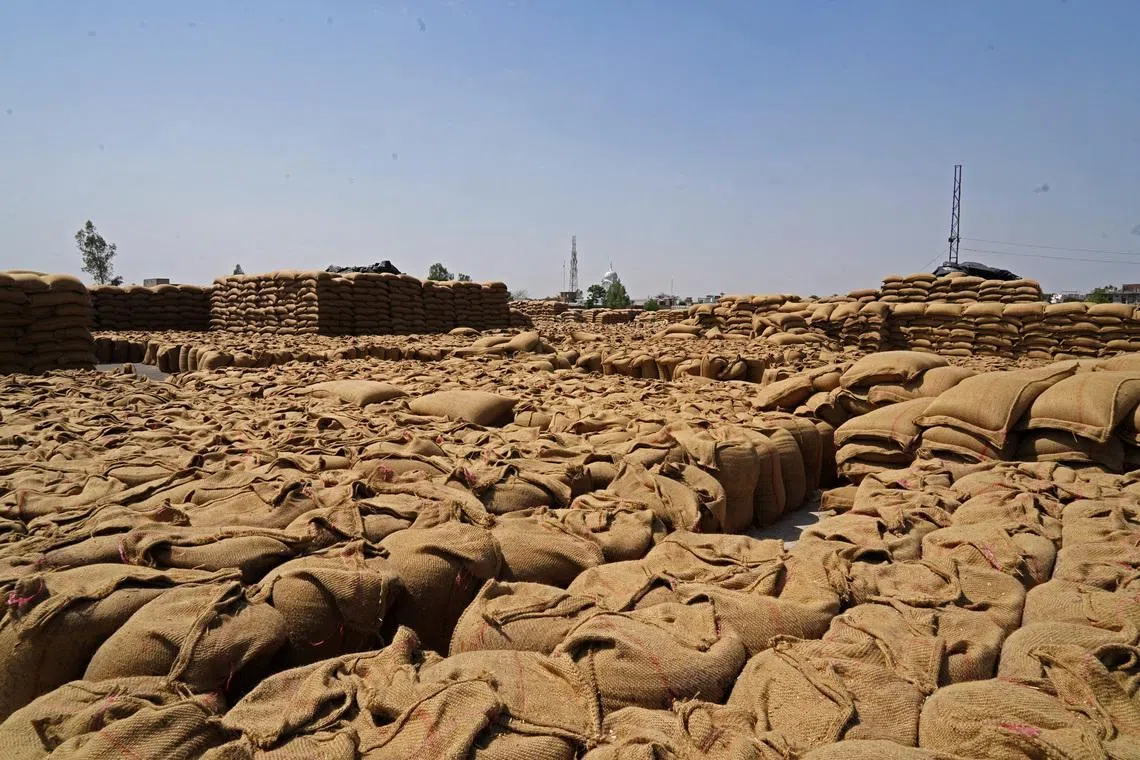 Sacks of harvested wheat are seen at a grain market in Gaggarpur village, in the northern state of Haryana, India, April 25, 2025. REUTERS/Bhawika Chhabra