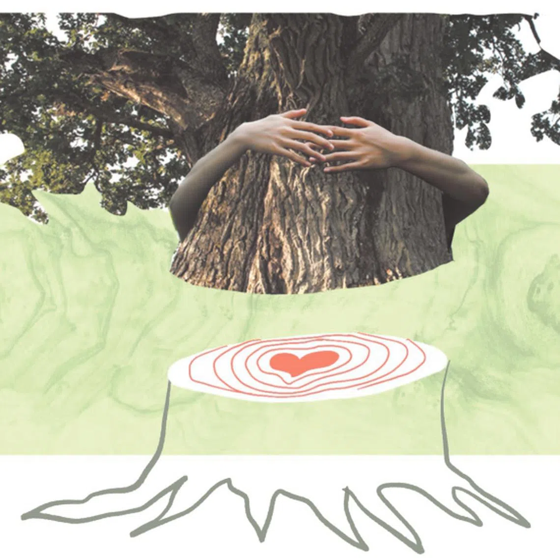 Nature conservation education begins when a person has some basic knowledge of nature, and is aware of the threats to conservation.