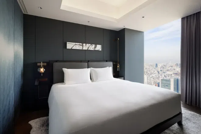 Best hotels in Tokyo for groups: Bellustar Tokyo