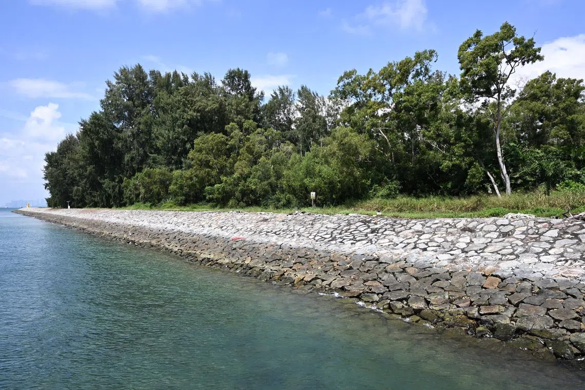 Humans pose the biggest threat, with activities, including hunting, fishing and other forms of overexploitation, impacting 70 per cent of the species on the UN list.