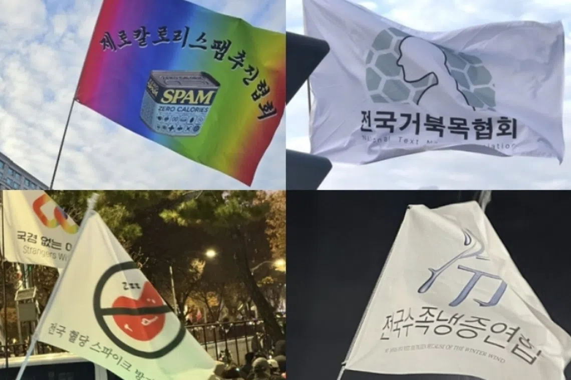 South Koreans have turned the streets into a satirical festival of flags, using humor to vent their frustrations over the recent political firestorm. 