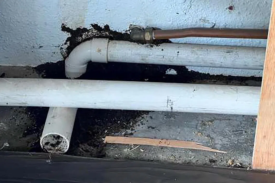 The court found that the condo’s management had failed to carry out preventive treatment against subterranean termites, resulting in damage to a couple’s home.