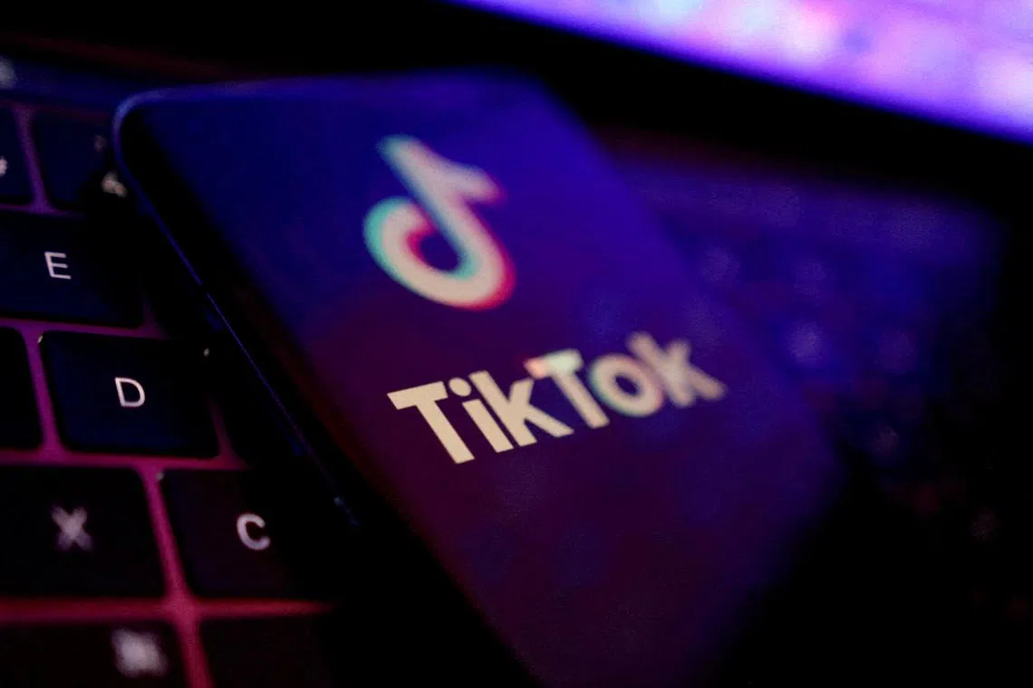 The new feature will let longtime users feel like they have just signed up for TikTok. 