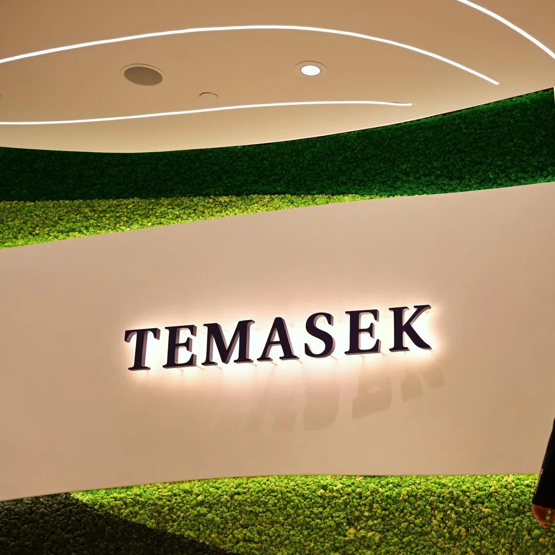 Shiprocket is also the third Temasek-backed company to go public in August, after Manipal Health Enterprises and Milky Mist Dairy Food.
