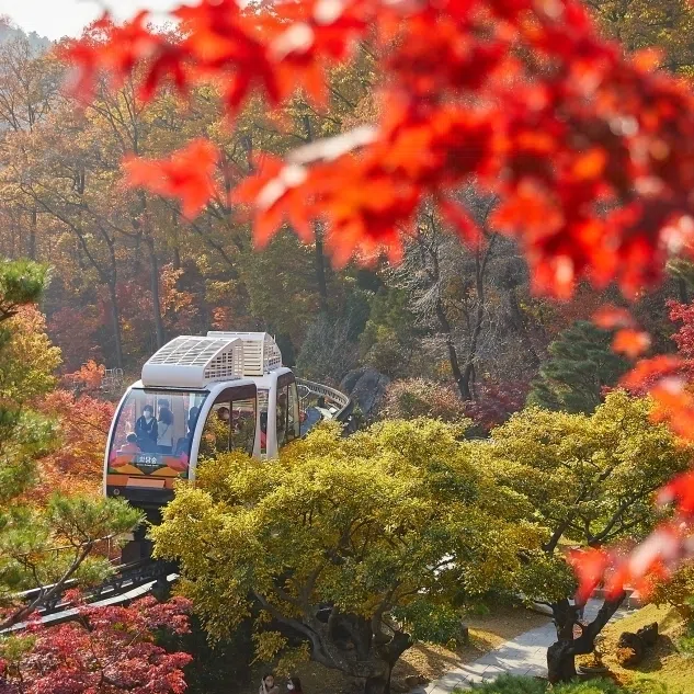 Hwadam Botanic Garden in Gwangju, Gyeonggi Province.