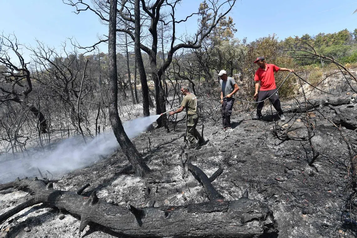 A man sprays water on burned trees to cool them down following a fire, in a forest in Melloula near Tabarka at the north-western Tunisian border with Algeria, on July 20, 2023, amid soaring summer temperatures. (Photo by FETHI BELAID / AFP)